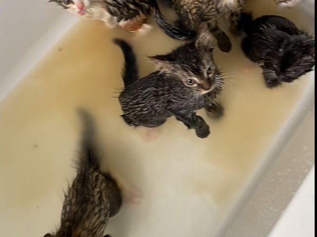 A warm bath was a must