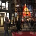 Here is 'I CAUGHT A...' one of the installations in October's Lightpool event