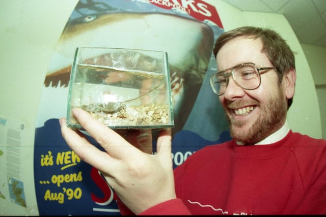 A ray of sunshine swept into Blackpool Sealife Centre as it heralded its first new arrivals. Two baby thornback rays were born to the delight of staff at the newly-opened showpiece. Displays manager Rod Haynes takes a closer look at the new arrivals