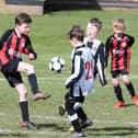 Action from Poulton Trojans (red and black) v Wyre Diamonds (white and black). Photo: Kelvin Stuttard