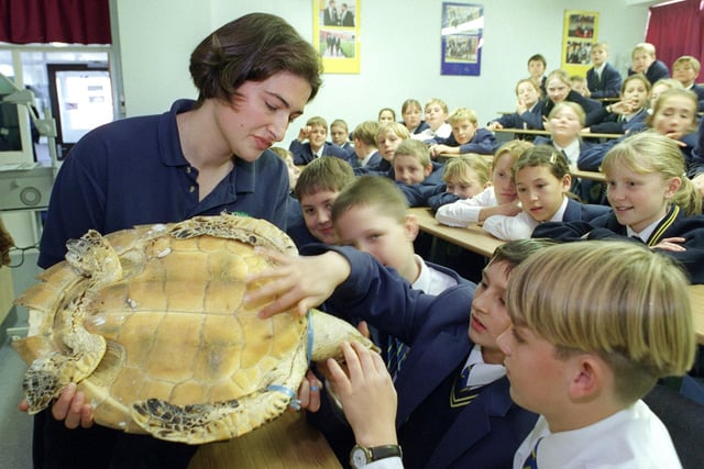 Nan Swannie from Blackpool Zoo shows a turtle to the Hodgson pupils