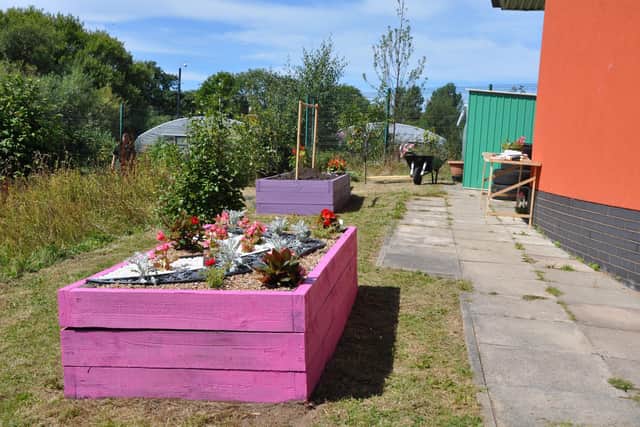 Official launch of  community garden, Dig Deeper, Blackpool