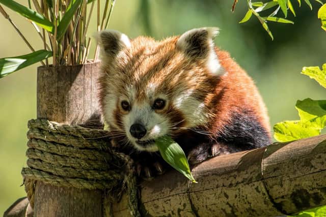 Blackpool Zoo part of attractions scheme