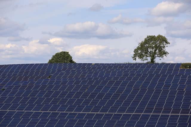 A general view of a lone tree standing above solar panels at the Low Bentham Solar Park, North Yorkshire