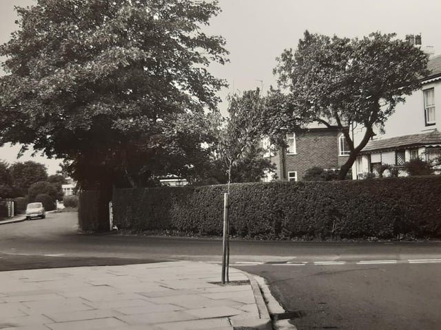 There's no information with this photo except 'Thornton' can anyone pinpoint where the photo was taken, and when?