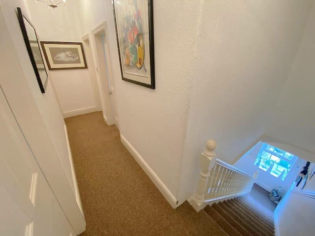 Susan Eve Estate Agency, Fylde Coast