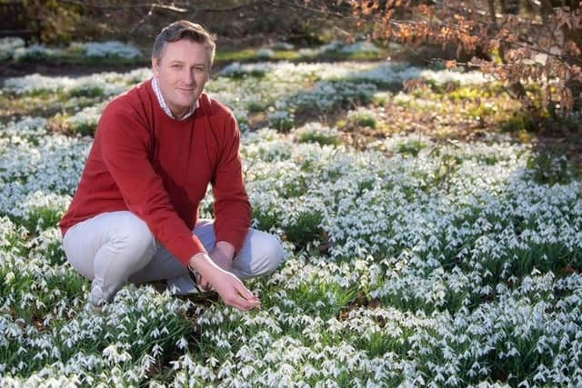 General manager Peter Anthony with the snowdrops at Lytham Hall