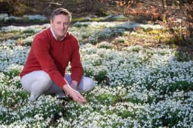 General manager Peter Anthony with the snowdrops at Lytham Hall