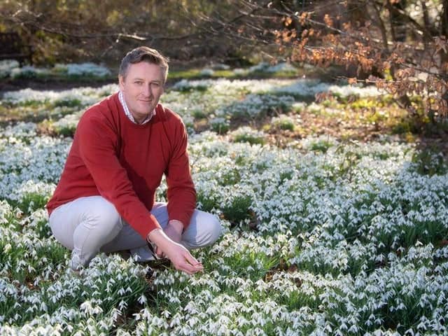 General manager Peter Anthony with the snowdrops at Lytham Hall