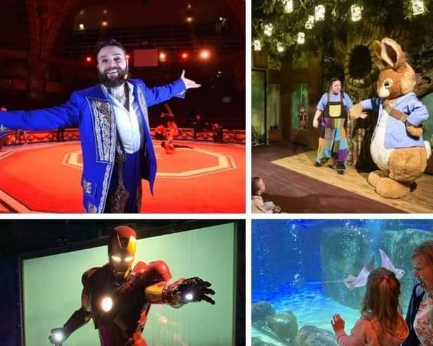 A new Blackpool Pass has been introduced offering deals on top attractions in the resort.