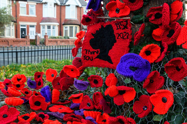A group of volunteer knitters have made a poppy waterfall memorial for Armistice Day on the corner of Newcastle avenue/Breck Road.