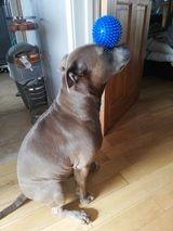 Nyla pretending to be a very cute seal!