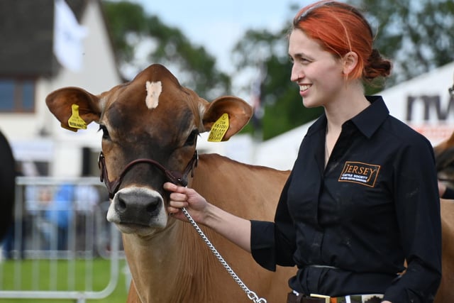 LANCASHIRE POST - BLACKPOOL GAZETTE -   The annual Great Eccleston Show, a two-day event showcasing all things rural.  With demonstrations, competitions, arts, crafts, horticulture and agriculture.