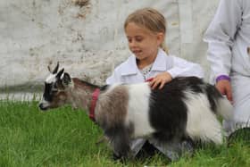 A youngster proudly shows off a young goat during this year's Garstang  Show, which saw one of the best attendances in years. Photographer Michelle Adamson