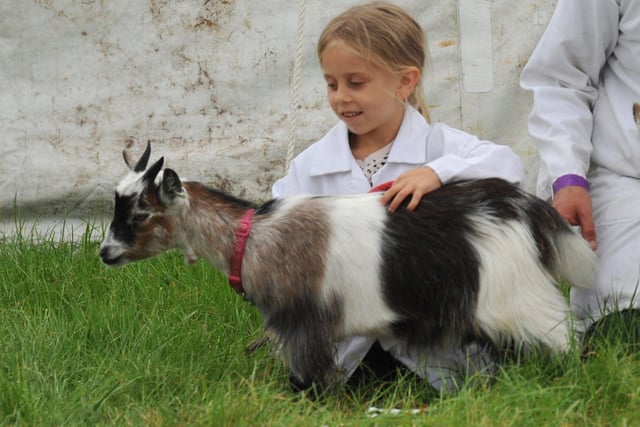 A youngster proudly shows off a young goat during this year's Garstang  Show, which saw one of the best attendances in years. Photographer Michelle Adamson