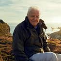 Sir David Attenborough, filming for Wild Isles series, next to Common puffins (Fratercula arctica), Skomer Island, off Pembrokeshire coast, Wales