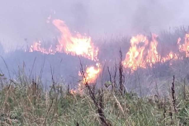 The fire service sent one engine to the dunes off Clifton Drive North, between Squires Gate and St Annes, with crews using beaters to extinguish the fires. (Picture by David Bailey)