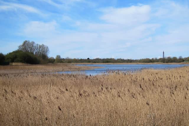 The footpath leads towards Marton Mere