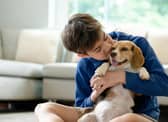 These are 10 of the most child-friendly breeds of dogs.