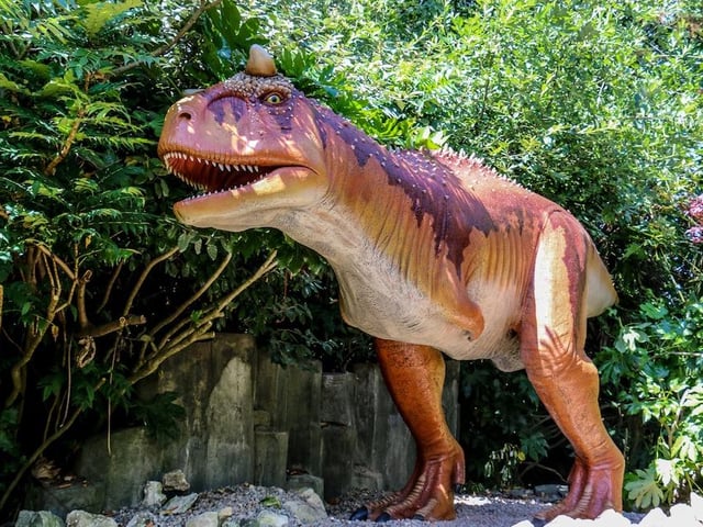 In 2003 operations and development of the zoo was taken over by Grant Leisure Ltd, part of the MICE Group, and pledged to invest millions of pounds into the attraction. As part of the agreed investment a second hangar was fully redeveloped to house offices, admissions, retail areas and a Costa coffee shop.
The old entrance became the Education Department and the unique Dinosaur Safari opened. This walk round time trail with its 32 lifesize dinosaurs, volcano and prehistoric gardens was an instant success.
