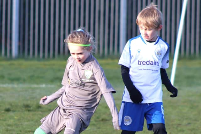 West Coast Sports Lions and BJFF Predators are continuing to make encouraging progress Photo: Karen Tebbutt