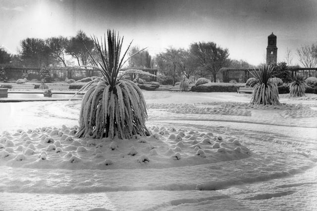 A striking scene of Stanley Park in 1977