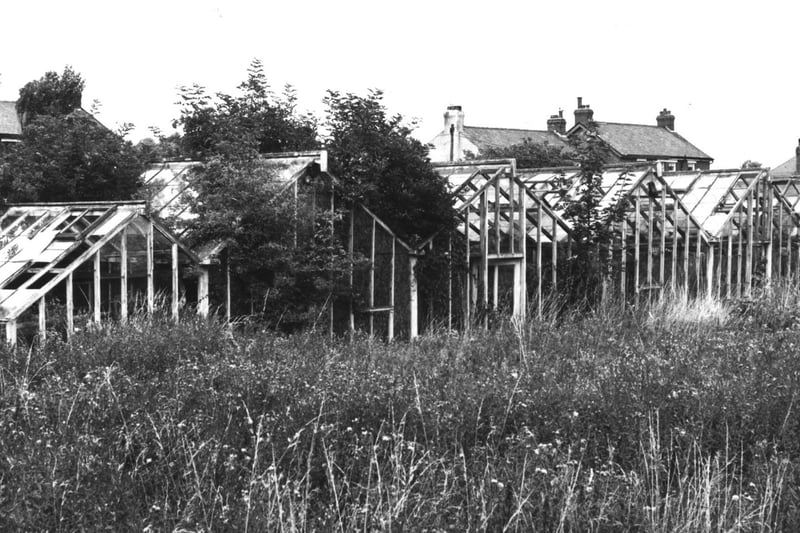 Derelict Greenhouses on Fisher's Lane in Marton in the 60s and 70s. They were later demolished