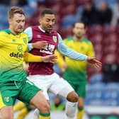 Trybull comes well-regarded following his successful spell with Norwich