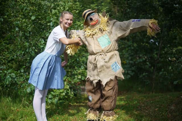 The Wizard of Oz starts the Lowther outdoor family plays season on July 27