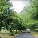 Highway safety inspectors will assess the trees along the 10,000 stretches of Lancashire highway that are lined with them - like here, on Blackpool Road in Preston (image: Google)