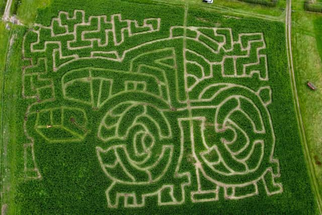 Maize Maze covers six acres at Ridgeway Farm on the edge of Blackpool