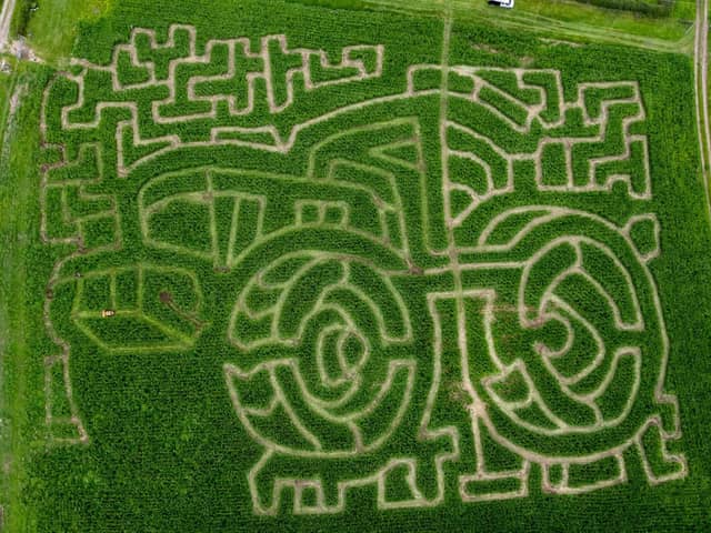Maize Maze covers six acres at Ridgeway Farm on the edge of Blackpool