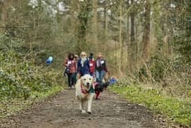 ‘Paw-some’ fundraising challenge: Lancashire dog owners are being urged to walk 60