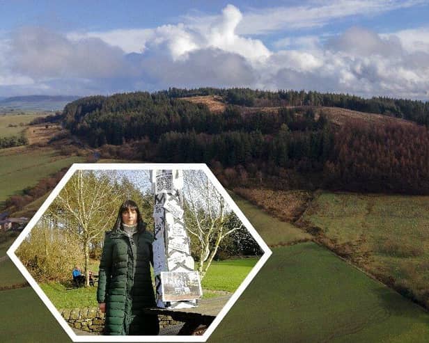 Joanna Sebborn hopes her mocked-up mast is the closest Beacon Fell ever comes to seeing the real thing (images: Tom Pooley/Lancashire Creators [main image] Paul Faulkner [inset])