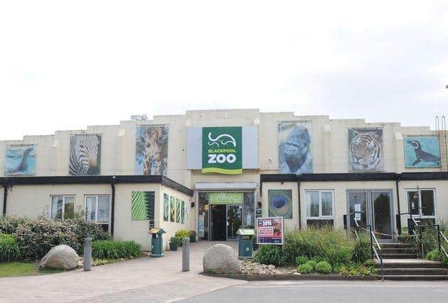 Blackpool Zoo is a family friendly attraction, providing fun and education for all ages
