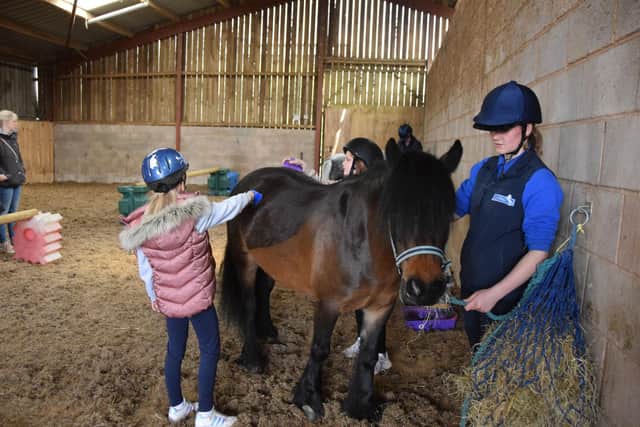 Children Grooming the HAPPA Ponies