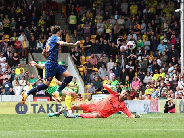 Rogers' first goal for the club helped Blackpool finish the season with a win