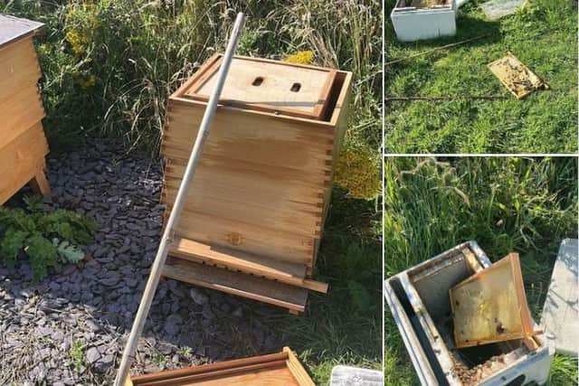 Damage to the beehvies at Revoe Community Park