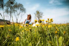 Leave weeds for a little longer - Dandelions, in particular, are like a superfood for butterflies and bees so try not to go for every weed you see throughout May