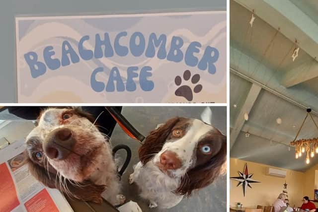 Top left: Beachcomber Cafe, Bottom left: Poppy and Mabel waiting for a treat, Right: Inside the cafe in St Annes.