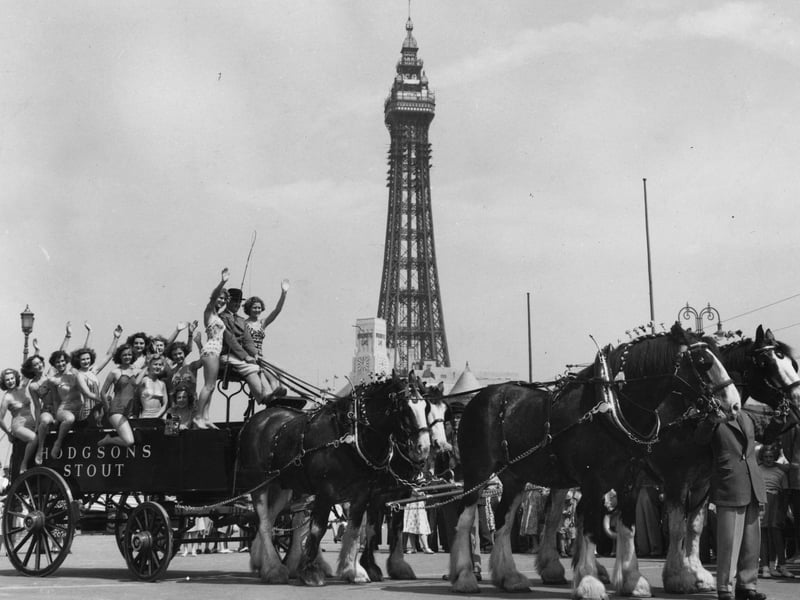 A group of bathers getting a lift on a dray pulled by four of London Brewery's Clydesdale Shire horses after arriving in Blackpool for the Royal Show
