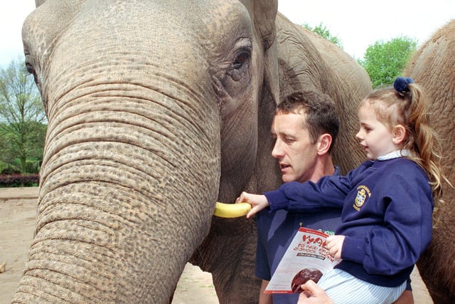 Five year old Samantha Tempest (Anchorsholme Primary School) and Blackpool Zoo keeper Gary Marsden feed Katie a banana