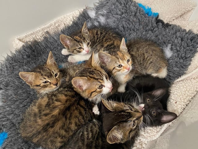 Now all warm and dry