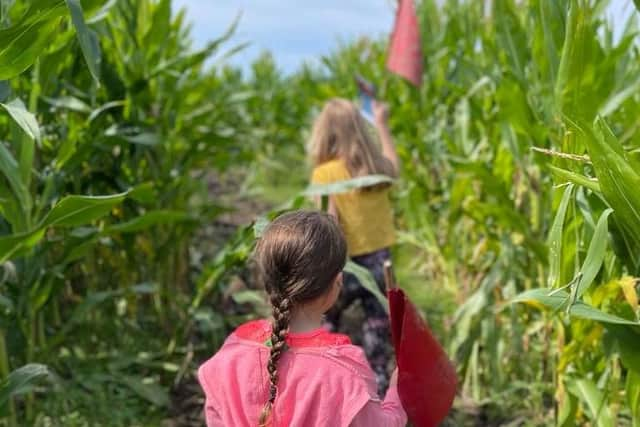 New attraction Maize Maze opened at Ridgeway Farm, on Peel Road, Blackpool, last week.