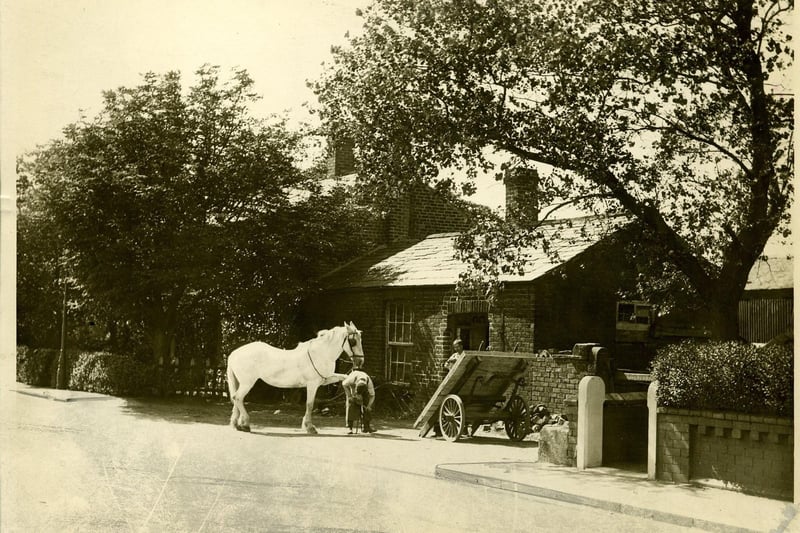 The old Smithy was near the junction of Squires Gate Lane and Common Edge Road . Abraham Cardwell was blacksmith here after he completed his apprenticeship in Ballam Village in the mid 1880s and was succeeded by his son. The white gatepost belonged to a cottage which was built out of materials from the first Moss Weslyan Chapel
