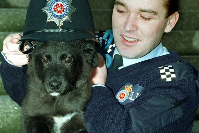 An abandoned puppy trades his collar for PC Iain Norton's police helmet in 1997