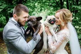 There are many ways to include your dog at your wedding (photo: Adobe)