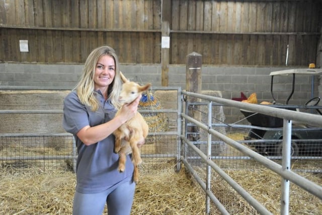 Meet some of the animals at Bowland Wild Boar Park