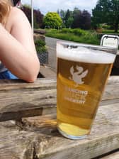 The post-walk on a summer's day beer: elite