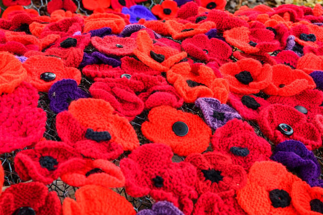 The poppies are all knitted or crocheted by volunteers, using a pattern - but each knitter has put their own style on theirs.